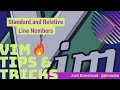Standard and Relative Line Numbers Vim Tips and Tricks