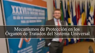 Mecanismos de Protección en los Órganos de Tratados del Sistema Universal - Fabián Salvioli