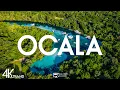 Top 10 Best Things to Do in Ocala Florida Ocala Travel Guide 2026