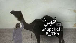 ما ينو خ للحمول الا الجمالي ومايقدم فالرجال الا الوليدة فهد بن فصلا بطيء مميز 