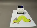 Codey Rocky-The Green Worm
