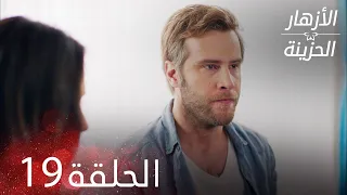 الأزهار الحزينة 19 كاملة Kırgın Çiçekler  الأزهار الحزينة 19 كاملة Kırgın Çiçekler