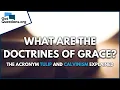 Download Lagu What are the doctrines of Grace? -  The acronym TULIP and Calvinism explained  |  GotQuestions.org