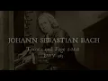 J. S. Bach, Toccata and Fuga D minor BWV 565 - Jean-Baptiste Dupont