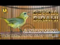 Lagu SOGON BETINA BIRAHI || UNTUK PANCINGAN SOGON MALAS BUNYI DENGARKAN SAMPAI SELESAI‼️#sogonbetina 