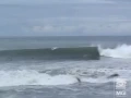 surf wax america- weezer