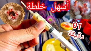 تحضير أسهل خلطة طعام لتأكيل اليدوي لفراخ الكناري   الحسون  البادجي الكوكتال دندنها