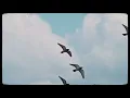 IMANU - A Taste of Hope (Hallowvale) (Official Music Video)
