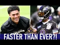 You Won t Believe What Kyle Hamilton Just Said About Ravens Lamar Jackson