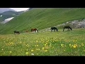 Download Lagu Yeh To Kashmir Hai