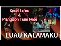Kauai Luau Kalamaku Hawaiian Dance Lu au Luau Hawaii