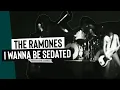 Download Lagu The Ramones - I Wanna Be Sedated | Live at Winterland (1978)
