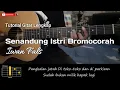 Download Lagu Senandung Istri Bromocorah-Iwan Fals | Tutorial Gitar Lengkap