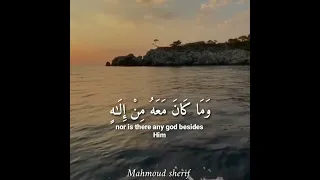 الشيخ محمد الطنطاوي 