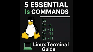 Mastering Linux ls Command ls la ls a ls lt ls rl Explained with Examples
