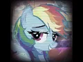 rainbow dash jar incident