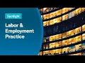 Labor Employment - Service spotlight