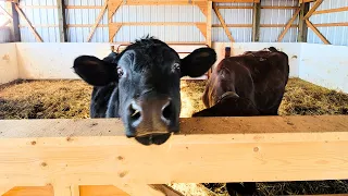 Homestead Tour// Winter 2026