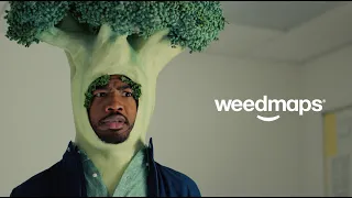 Cannabis censorship affects everybody especially Brock Ollie Weedmaps