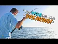 Fishing for HUGE GROUPER in Tampa Bay