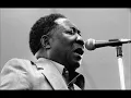 Muddy Waters : Streamline Woman (live audio, 1978)