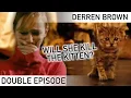 Download Lagu Can She Resist The Most Evil Temptation? | DOUBLE EPISODE | Derren Brown