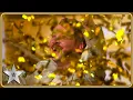 Download Lagu Audience member Max Fox’s SPONTANEOUS audition gets him a GOLDEN BUZZER! | Auditions | BGT 2025