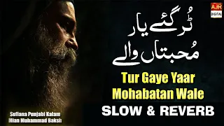 tur gaye yaar mohabbatan wale slow u0026 reverb kalam mian muhammad bakhsh ajr digital