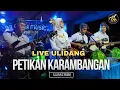 Download Lagu SAYANG-SAYANG MANDAR || EKSLUSIF ‼️ KARAMBANGAN DI ULIDANG TAMMERODO SENDANA...@Galiti_Official