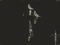 $UICIDEBOY$ - NOT EVEN GHOSTS ARE THIS EMPTY (LEGENDA/TRADUÇÃO)
