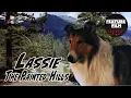 Download Lagu Lassie: The Painted Hills (1951) | Family Movie | Full Lenght | For Free | Classic Lassie Series