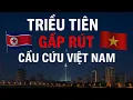 Lagu Triều Tiên Cầu Cứu Việt Nam ?
