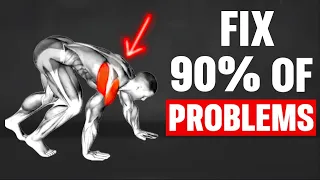 How Bear Crawls Will Completely Change The Human Body