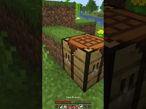 DIA 9 TENTANDO PEGAR TODOS OS ITENS DO #MINECRAFT