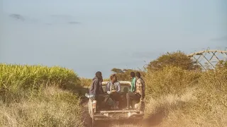 rex rabanye onketsang tiyani remake 