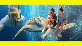 Diving fabulous BUNAKEN Island. (Turtles galore) (Ep 278)