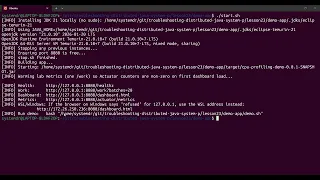Day 23 CPU Profiling with Async-Profiler and Flame Graph Interpretation