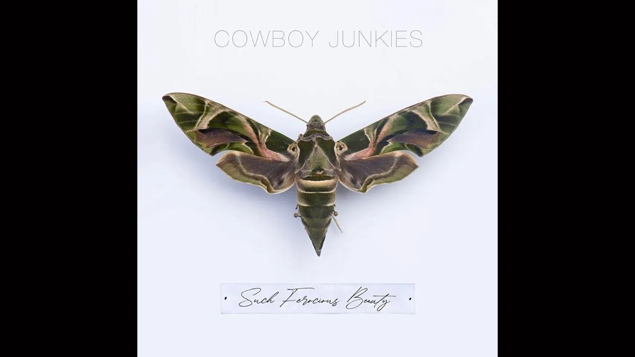 Cowboy Junkies - Such Ferocious Beauty (Full Album) 2023