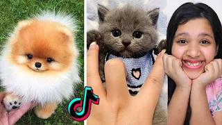 Oddly Satisfying Videos أتحداك ما تقول واو ستشعر براحة نفسية غريبة بعد مشاهدة المقطع 