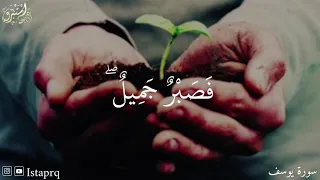فصبر جميل والله المستعان على ما تصفون القارئ طارق محمد دندنها