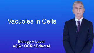 A Level Biology Revision Vacuoles in Cells