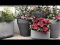 Amazing Self-Watering TruDrop Containers