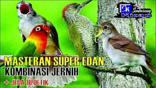 Download Masteran Super Edan , Cungkok, Lovbird, Kapas Tembak MP3