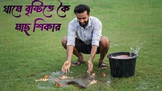 Traditional Koi Fishing in Rainy Village / গ্রামে বৃষ্টিতে কৈ মাছ শিকার 