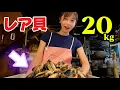 Download Lagu 【20㎏】市場に出回らない！？レア貝を豪快フルコースにしたら悶絶しました。