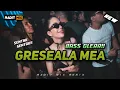 Download Lagu BASS GLERR!! GRESEALA MEA 🌴 LAGU PARTY ACARA 🌴 @radit_mix REMIX 2025 
