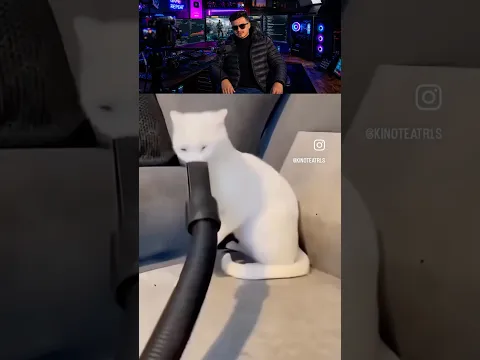 مقاطع مضحكة للحيوانات 😂🐱.