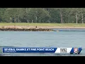 Nearly a dozen sharks spotted at Pine Point Beach in Scarborough