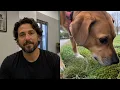 The 6 Acts of Love Your Dog Hopes to Receive From You for Life