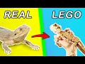 I Made Every Kind of Animal in LEGO